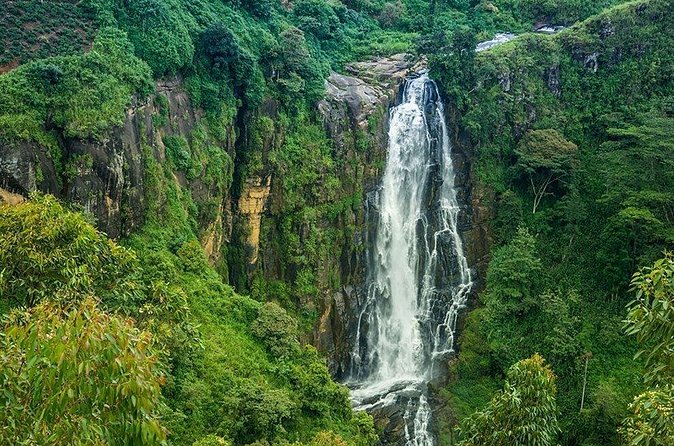 Day Tour to Nuwara Eliya from Kandy by Lux Tours Lanka - Victoria Park of Nuwara Eliya: manicured lawns and flower seasons