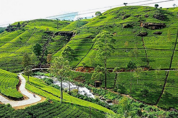 Day Tour to Nuwara Eliya from Kandy by Lux Tours Lanka - Hakgala Botanic Gardens: rose garden, Japanese paths, and steep fees