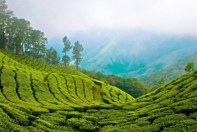 Day Tour to Nuwara Eliya from Kandy by Lux Tours Lanka - What to pack for a full-day high-country circuit