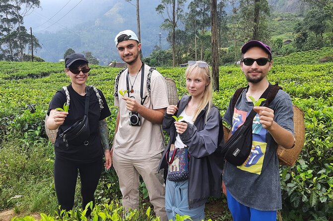 Day tour to Nuwareeliya (Little England) from Kandy - Why this Kandy to Nuwara Eliya tea tour feels like a good deal