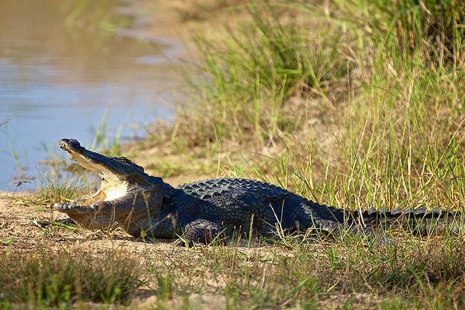 Day Tour to Wilpattu National Park from Colombo - Wildlife sightings and the reality check on leopard and sloth bear days