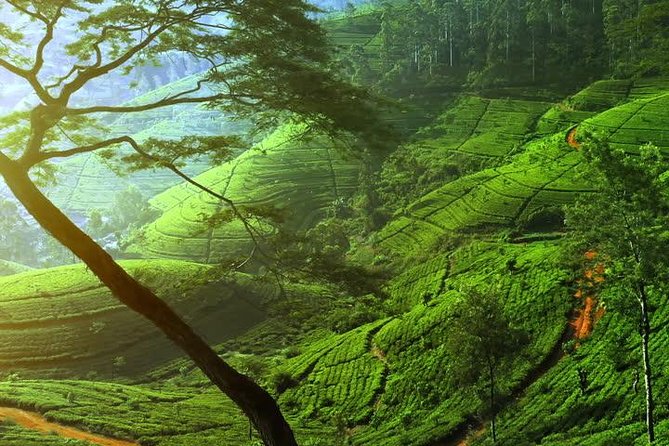 Day Trip to Nuwara Eliya with Kingfisher Tours - Ramboda and Lovers Leap Falls: the cool-air payoff