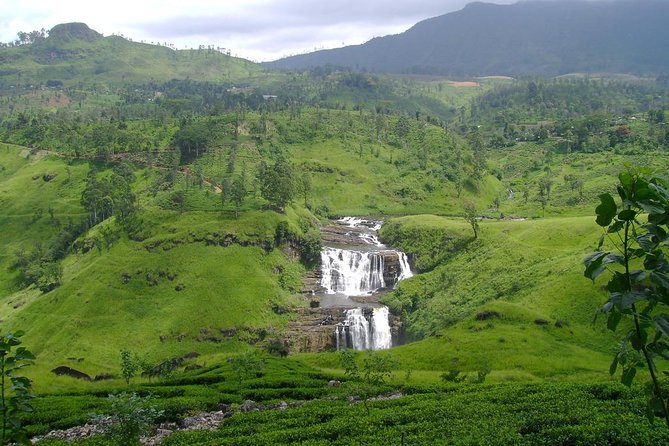 Day Trip to Nuwara Eliya with Kingfisher Tours - Gregory Lake Park: where the day slows down a notch