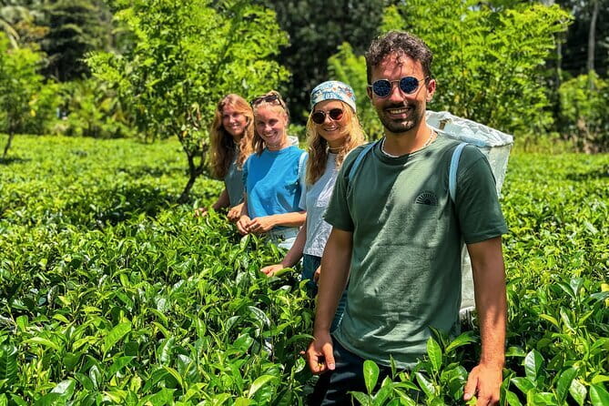 Dediyagala Village Tour(from Galle, Mirissa, Ahangama, Matara) - Key highlights to look for