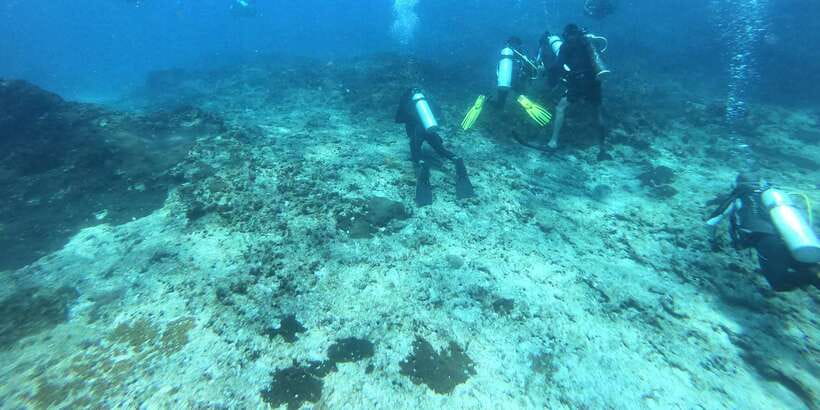 Discover Scuba Diving : Hikkaduwa : Scuba Diving - Where You Start in Hikkaduwa and Kotapola, Coral Sands Hotel Base