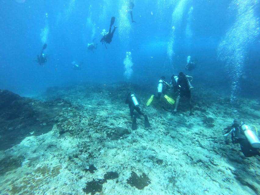Discover Scuba Diving : Hikkaduwa : Scuba Diving - Who This Program Suits Best, and Who Should Skip It