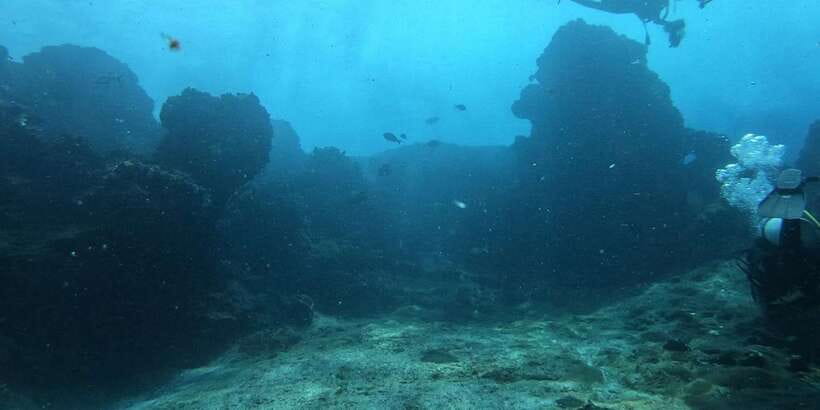 Discover Scuba Diving : Hikkaduwa : Scuba Diving - The 3-Hour Flow: Safety Briefing, Gear Fit, Controlled Skills, Open-Water Time