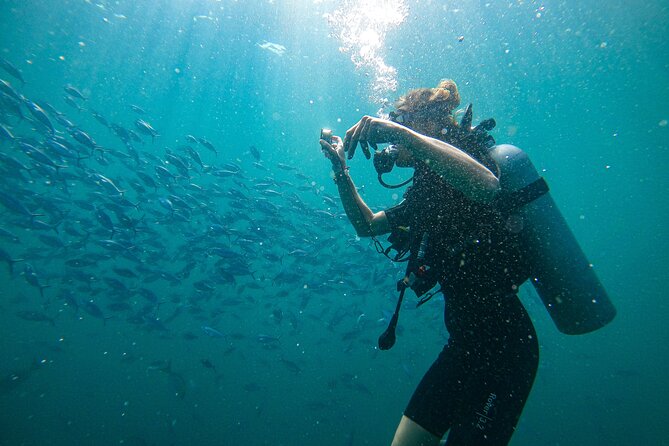 Discover SCUBA Diving in Beautiful Unawatuna Bay - Key highlights to know before you go