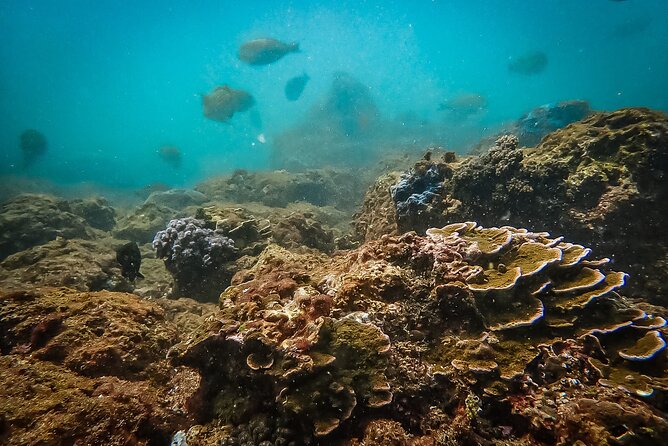 Discover SCUBA Diving in Beautiful Unawatuna Bay - Start-to-finish flow at the meeting point in Unawatuna