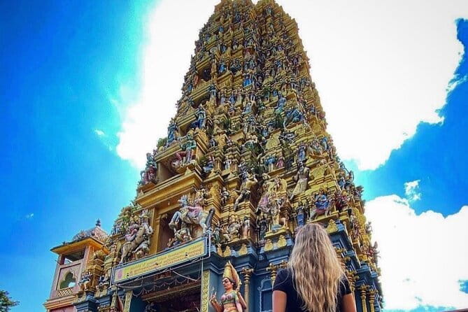 Discover Sigiriya Dambulla and Minneriya Park in Day Tour - Ranweli Spice Garden: learn why herbs matter in everyday Sri Lanka