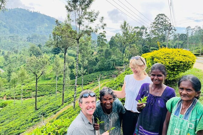 Discover Sri Lanka with Tailored Tours for Timeless Memories - A private Sri Lanka road trip that fits your rhythm
