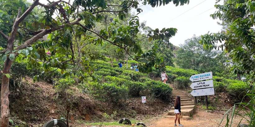 Discover the Best of Sri Lanka in 2 Days - Key Points That Make This 2-Day Sri Lanka Trip Work