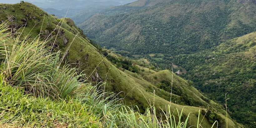 Discover the Best of Sri Lanka in 2 Days - Day 1: Ravana Falls, Ella Trains, and a Tea-Country Pace