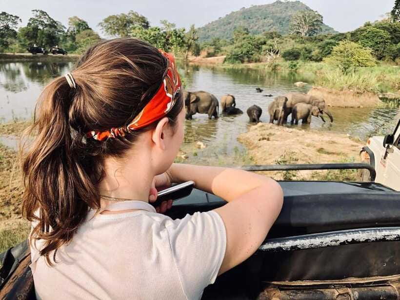 Elephant Kingdom Safari – Minneriya National Park - Wildlife beyond elephants: birds, deer, buffalo, and the occasional crocodile