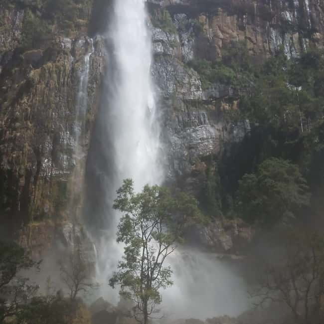 Ella: All-Inclusive Diyaluma and Ravana Waterfalls Day Tour - The jungle walk: what you are really paying for