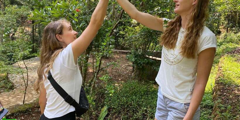 Ella : Cooking class with amazing Spice Garden Tour - Inside the 1-hour spice garden walk, 100+ plants and real uses