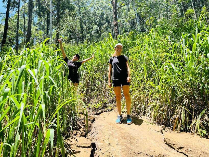 Ella Day Tour from Kandy with tea factory - A Kandy to Ella day trip that strings the hill-country highlights together