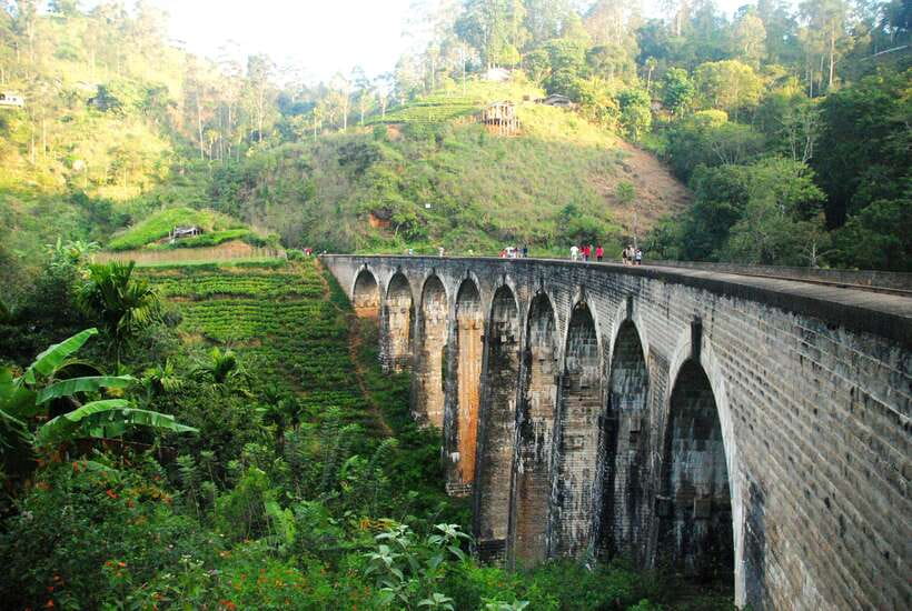 Ella Day Tour: with Tea Factory Visit from Colombo/Bentota - Booking Tip: Make It a Smooth Day From Start to Finish
