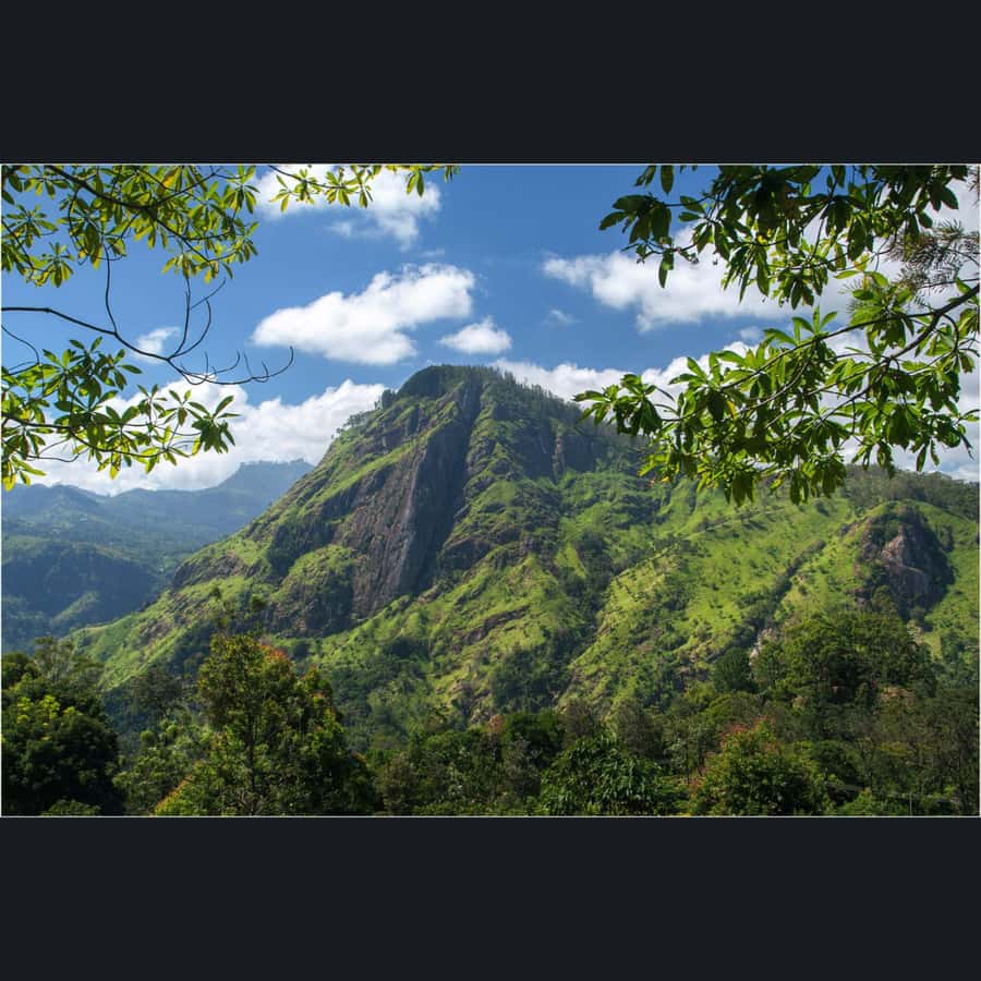 ELLA: Drop to Tangalle/Hiriketiya/Mirissa/Galle & Yala Tour - Should you book this Ella to Yala and coast transfer tour?