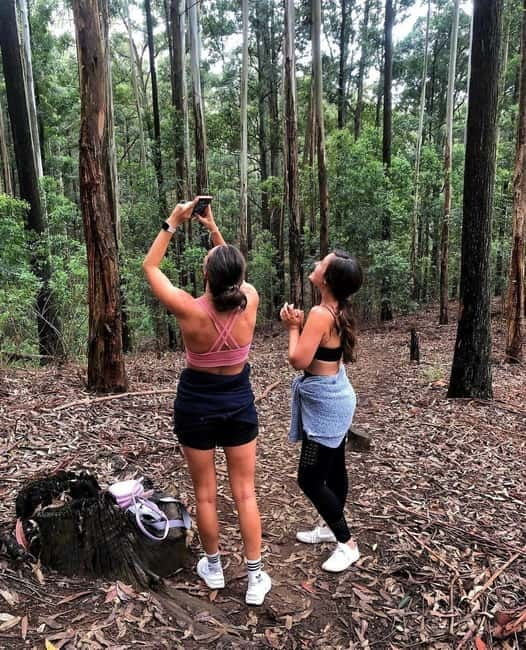 Ella: Ella Rock, 9 Arch, Little Adams Peak, & Waterfall Tour - Ravana Falls: The Waterfall Stop That Sets the Tone