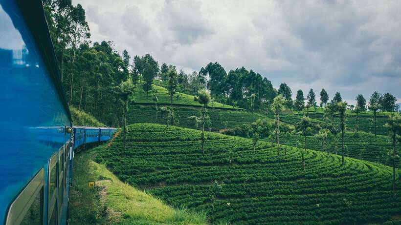 Ella: First Class Scenic Train Ticket To/From Nanuoya - The 5-hour ride: tea fields, hills, and waterfall views