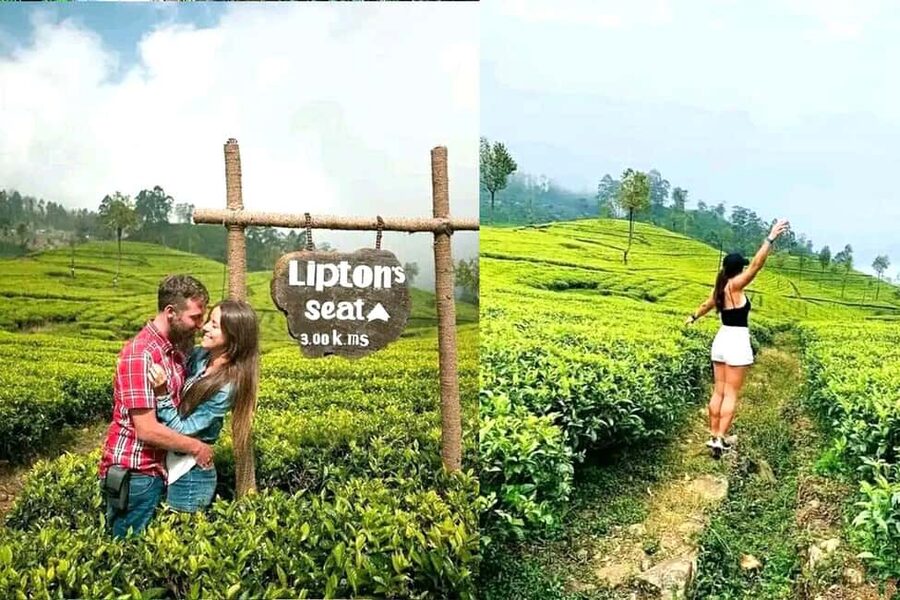Ella Full-Day Endless Landmarks Life Time Experience - Uva Halpewatte Tea Factory: tasting and a tea ceremony