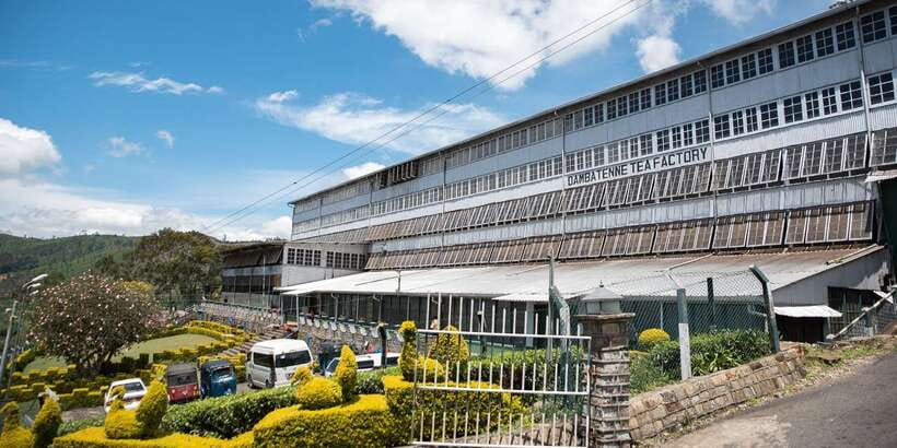 Ella: Lipton's Seat Tour with Dambetanna Tea Factory Visit - Starting from your hotel, then rolling into tea country by tuk tuk