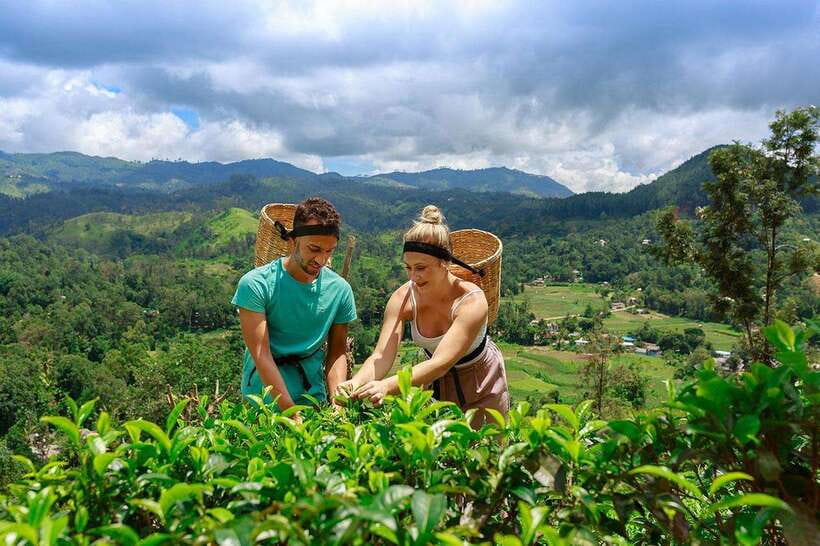 Ella: Little Adam's Peak, 9 Arch Bridge, Ravana Falls Tour - Nine Arch Bridge: photos, walking, and viewpoints that make the effort worth it
