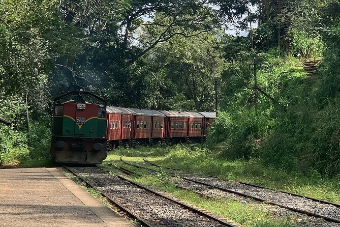 Ella Private Day Tour - Departing from Any Location in Sri Lanka - Nine Arch Bridge and the Ella-Demodara train moment