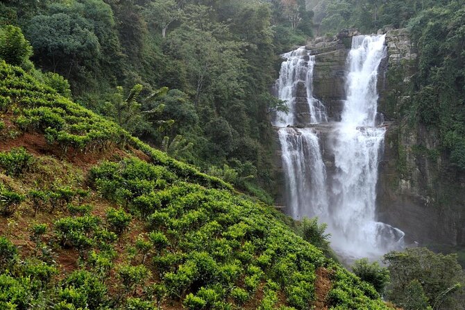 Ella Private Day Tour From Kandy - Key things to know before you go