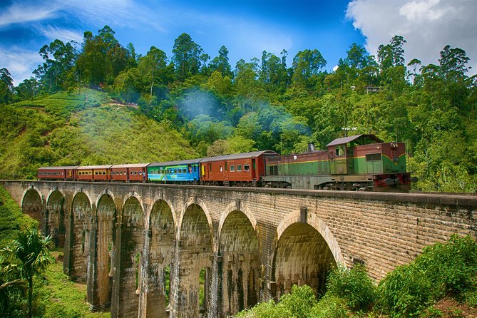 Ella Private Day Tour From Kandy - The real appeal: a guided Ella day without the planning stress