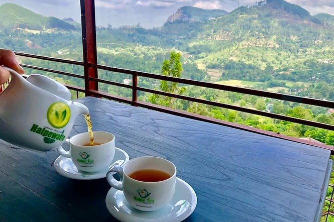 Ella Private Day Tour From Kandy - Nine Arches Bridge: the classic stop and how to think about tickets