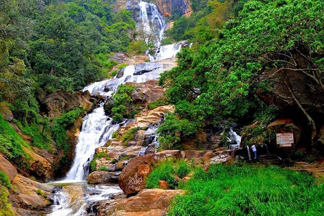 Ella Private Day Trip with Train Ride & Tea Factory-All Inclusive - Nine Arch Bridge: timing is everything