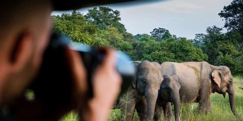 Ella: Shuttle to Tangalle/Mirissa/Galle & Udawalawa Safari - Practical Tips That Make the Morning Smoother