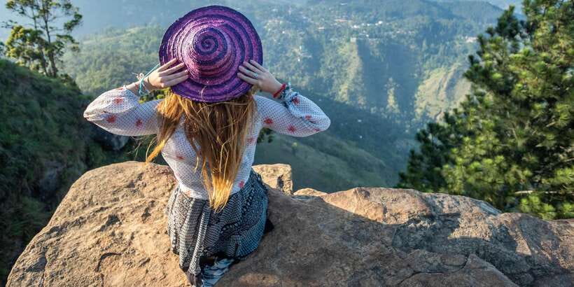 Ella: Tea Factory, Train, and Nine Arch Day Tour with Pickup - Key Highlights I’d Plan Around