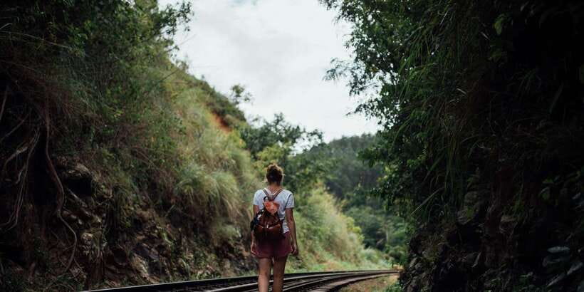 Ella: Tea Factory, Train, and Nine Arch Day Tour with Pickup - Ravana Waterfall and Nine Arch Bridge: The Power Combo