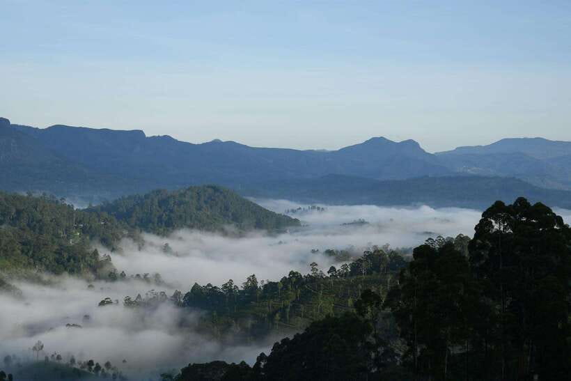 Ella: The Pekoe Trail Stage 16 - Ella to Demodara - Key highlights to look for