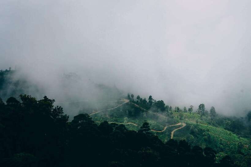 Ella: The Pekoe Trail Stage 16 - Ella to Demodara - Stage 16 Ella to Demodara: 5 hours of tea country, not a long haul