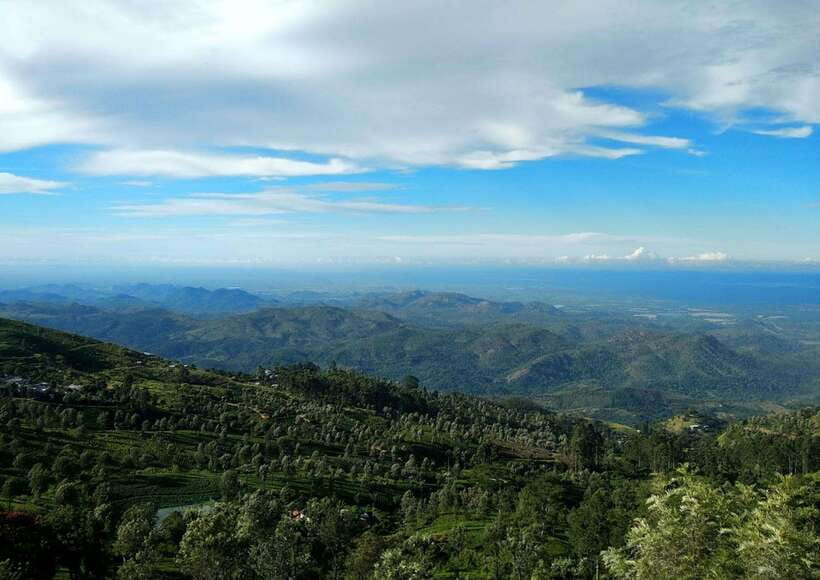 Ella: The Pekoe Trail Stage 16 - Ella to Demodara - Ella Forest Reserve: birds overhead and a real sense of altitude