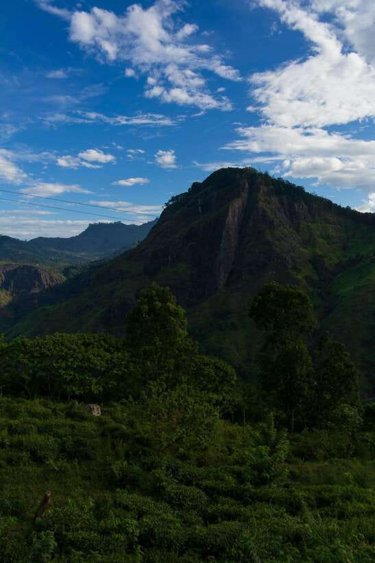 Ella: The Pekoe Trail Stage 16 - Ella to Demodara - Getting started in Ella: the guide sets your eyes up fast