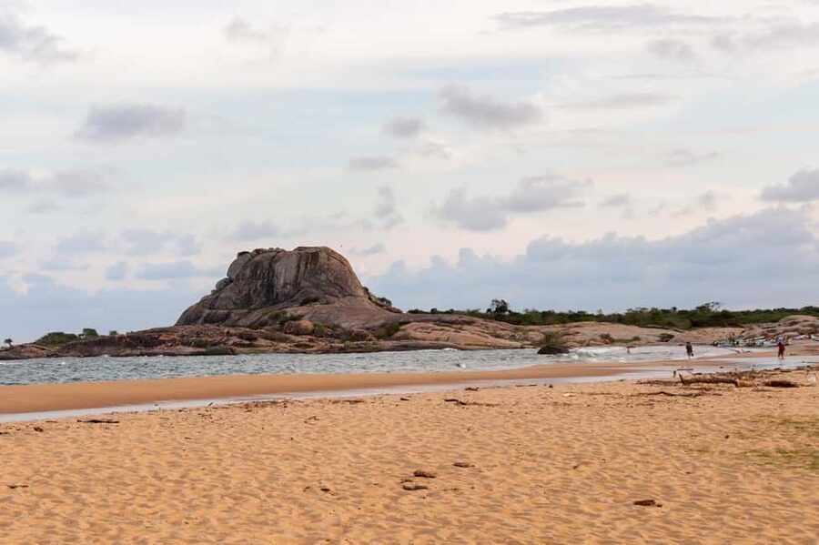 Ella: Transfer to Hikkaduwa & Yala Safari Tour - Transfer Logistics: Comfort, Timing, and Why Waiting Can Happen