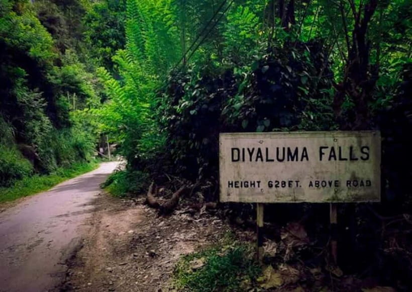 Ella: Tuk Tuk Tour to Diyaluma and Secret Waterfalls - Koslanda Rubber Plantation: a process lesson you can actually remember
