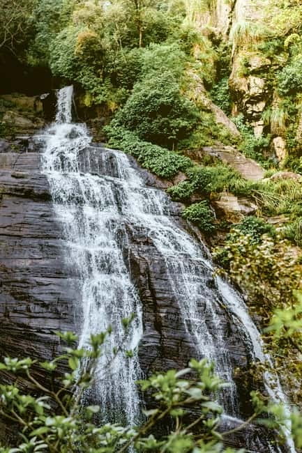 Ella: Waterfall hunting Hike to Bambarakanda and Lanka Falls - Bambarakanda Falls: the tallest waterfall stop that feels earned