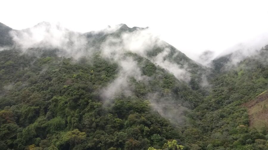 Ella: Waterfall hunting Hike to Bambarakanda and Lanka Falls - The secret stop plus a family-style lunch with a view