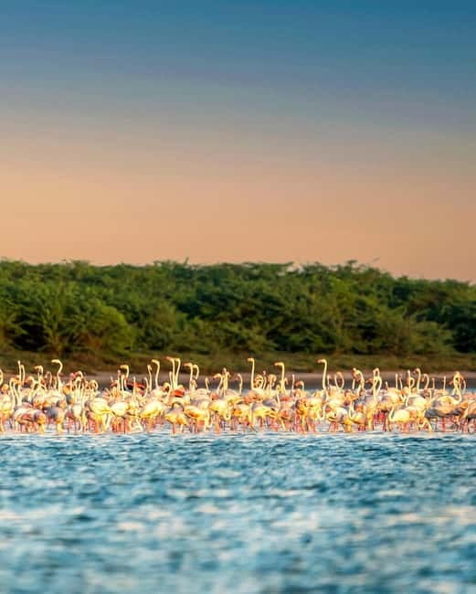 Ella : Yala Safari Drop : Arugambay / Arugam bay / Pottuvil - Should you book this Ella to Yala safari drop to Arugambay?