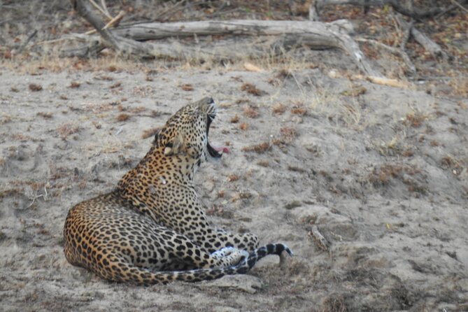 Evening Safari - Yala National Park with Janaka safari - 02.00 pm to 06.30 pm - Water and water planning: small comfort, big payoff
