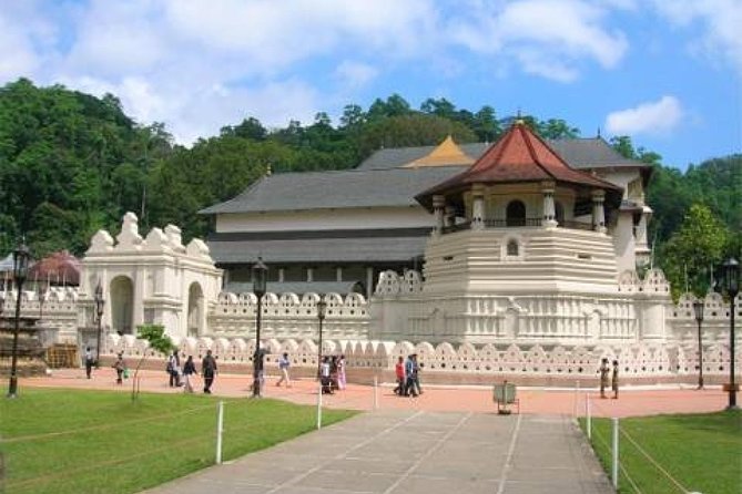 Evening Tour at the Last Kingdom of Sri Lanka, Kandy - Who should book this Kandy by night tour?