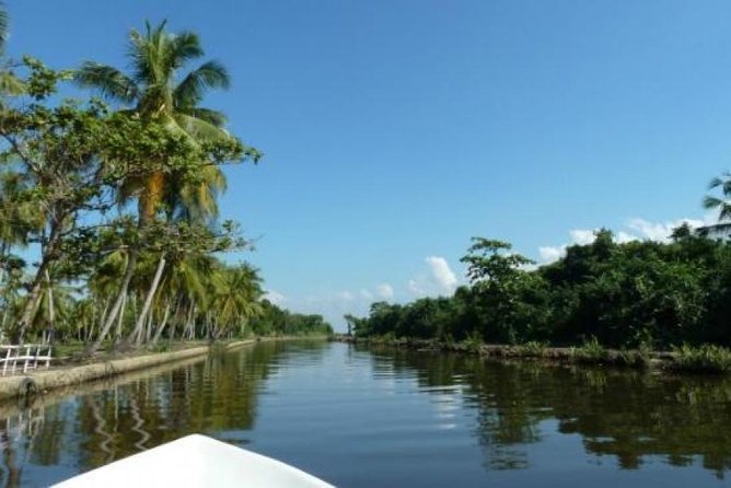 Exclusive: Muthurajawela Bird Watching Tour with Transfers - Muthurajawela Marsh: where the wetlands earn their keep