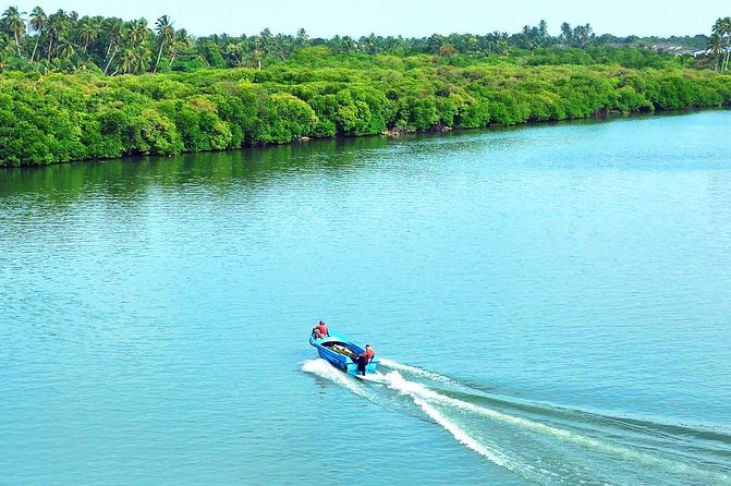 Exclusive: Muthurajawela Bird Watching Tour with Transfers - Light refreshments: small, but smart on a short day