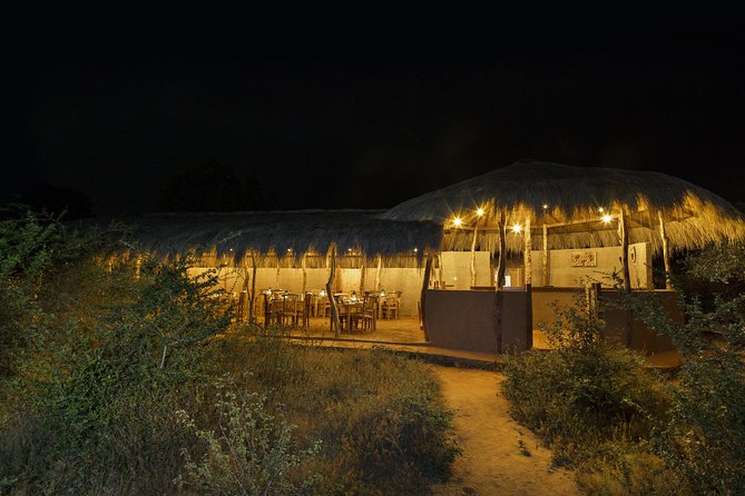 Exclusive : Overnight Leopard Safari with Luxury Glamping - Key highlights you should actually care about